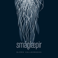 Smáglæpir - Björn Halldórsson