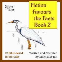 Fiction Favours the Facts: Book 2 - Mark Morgan