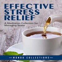 Effective Stress Relief: A Meditation Collection for Managing Stress - Mondo Collections