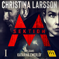 Sektion M I - Christina Larsson