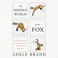 The Hidden World of the Fox - Adele Brand