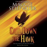 Call Down the Hawk - Maggie Stiefvater