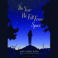 The Year We Fell from Space - Amy Sarig King