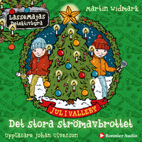 Jul i Valleby. Det stora strömavbrottet - Martin Widmark