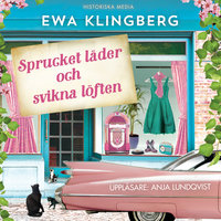 Sprucket läder och svikna löften - Ewa Klingberg