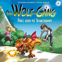 Die Wolf-Gäng: Draci gegen die Schweinebande - Dieter Winkler, Wolfgang Hohlbein, Katrin Wiegand, Jana Groß