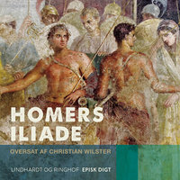 Homers Iliade - Homer