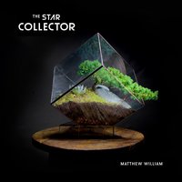 The Star Collector - Matthew William