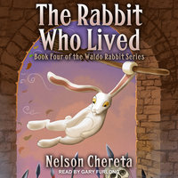 The Rabbit Who Lived - Nelson Chereta