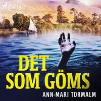 Det som göms - Ann-Mari Tormalm