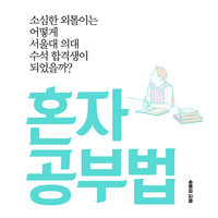 혼자 공부법 - 송용섭