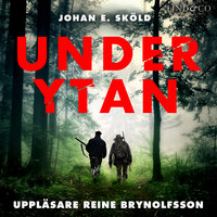 Under ytan - Johan E. Sköld