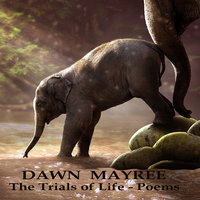 The Trials of Life - Poems - Dawn Mayree