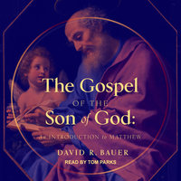 The Gospel of the Son of God: An Introduction to Matthew - David R. Bauer