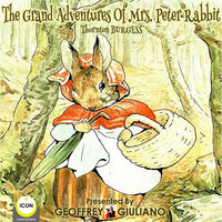 The Grand Adventures of Mrs. Peter Rabbit - Thornton Burgess