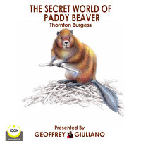 The Secret World Of Paddy Beaver - Thornton Burgess