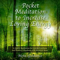 Pocket Meditation to Increase Loving Energy: A Quick Meditation for Loving Kindness and Positive Vibrations with Binaural Beats - Meta Guidance