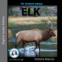 My Favorite Animal: Elk - Victoria Marcos