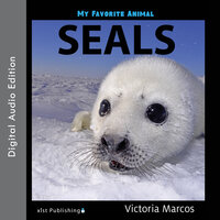 My Favorite Animal: Seals - Victoria Marcos
