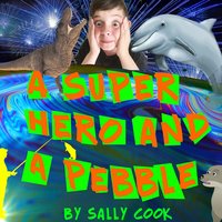 A Superhero and a Pebble - Sally Cook