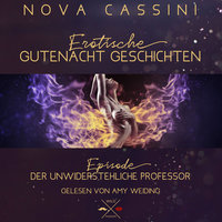 Erotische Gutenacht Geschichten - Band 2: Der unwiderstehliche Professor - Nova Cassini