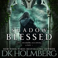 Shadow Blessed - D.K. Holmberg