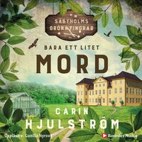 Bara ett litet mord - Carin Hjulström