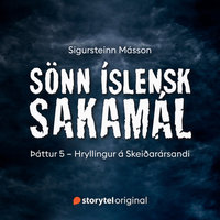 Sönn íslensk sakamál: S1E5 – Hryllingur á Skeiðarársandi - Sigursteinn Másson