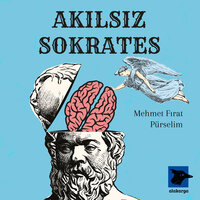 Akılsız Sokrates - Mehmet Fırat Pürselim
