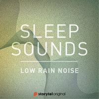 Low Rain Noise - Patricio Samuelsson