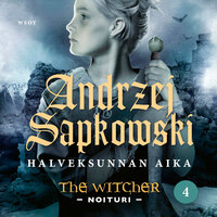 Halveksunnan aika: The Witcher - Noituri 4 - Andrzej Sapkowski