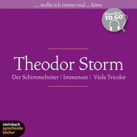 Der Schimmelreiter / Immensee / Viola Tricolor (Ungekürzt) - Theodor Storm