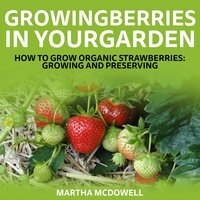 Growing Berries In Your Garden - How To Grow Organic Strawberries: Growing And Preserving - Martha McDowell