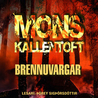 Brennuvargar - Mons Kallentoft
