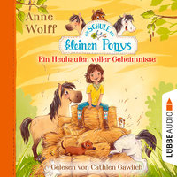 Die Schule der kleinen Ponys - Teil 1: Ein Heuhaufen voller Geheimnisse - Anne Wolff