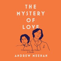 The Mystery Of Love - Andrew Meehan