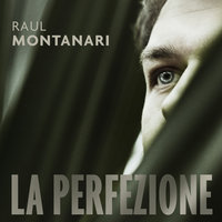 La perfezione - Raul Montanari