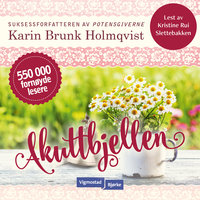 Akuttbjellen - Karin Brunk Holmqvist