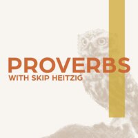 20 Proverbs - 1989 - Skip Heitzig
