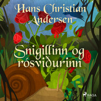 Snigillinn og rósviðurinn - H.C. Andersen