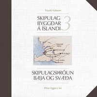 Skipulag byggðar á Íslandi 3: Skipulagsþróun bæja og svæða - Trausti Valsson