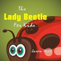 Lady Beetle for Kids - Jason Hill