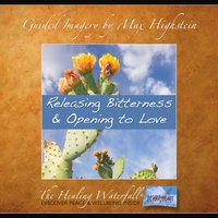 Releasing Bitterness & Opening to Love - Max Highstein