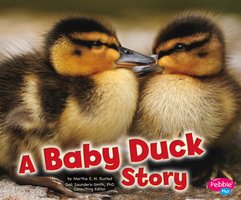 A Baby Duck Story - Martha Rustad