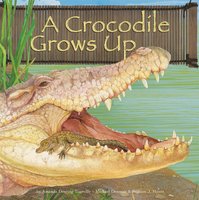 A Crocodile Grows Up - Amanda Doering Tourville