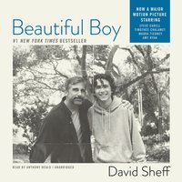 Beautiful Boy: A Father’s Journey through His Son’s Meth Addiction - David Sheff
