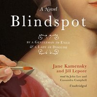 Blindspot: By a Gentleman in Exile and a Lady in Disguise - Jane Kamensky, Jill Lepore
