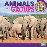 Animals That Live in Groups - Kelsi Tjernagel