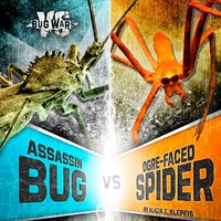 Assassin Bug vs. Ogre-Faced Spider: When Cunning Hunters Collide - Alicia Z. Klepeis