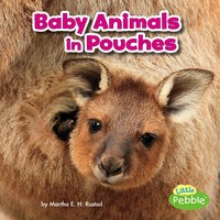 Baby Animals in Pouches - Martha Rustad